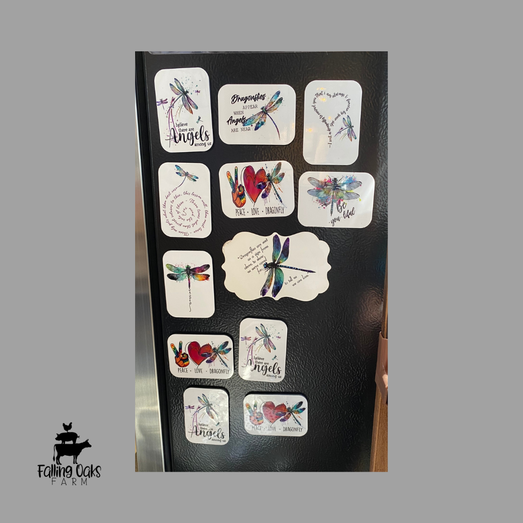 Dragonfly Magnets
